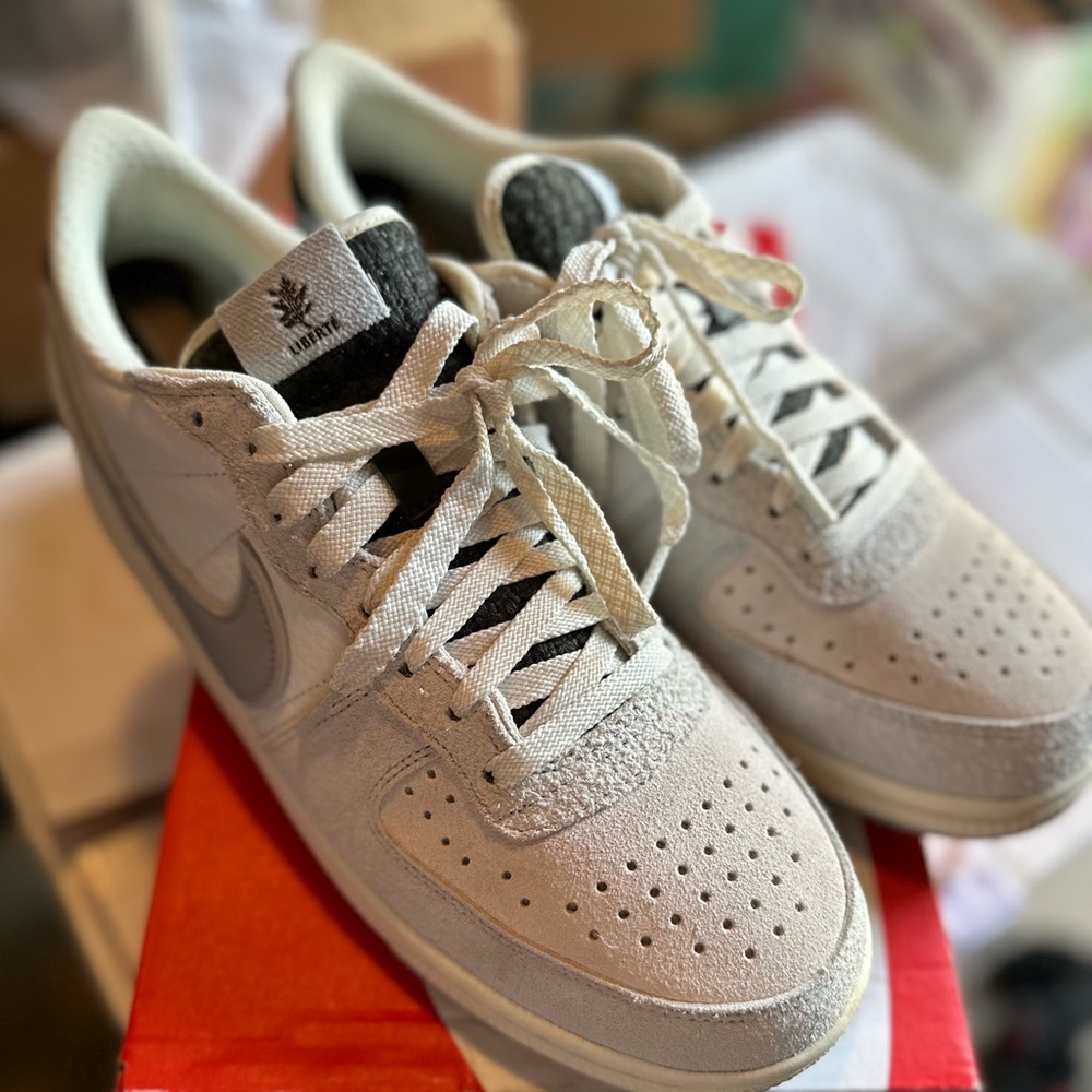 Nike terminator low